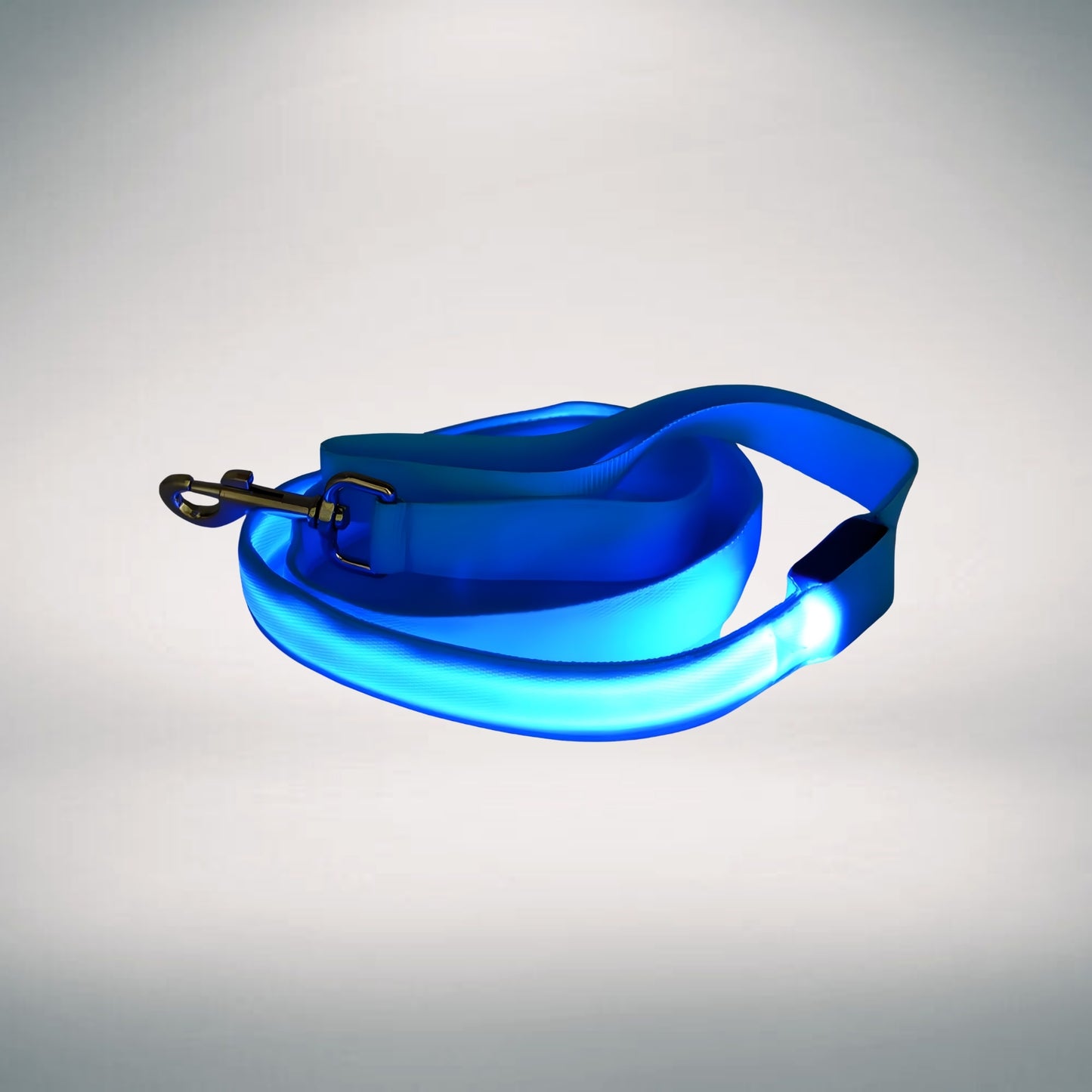 Rechargeable LED Leash