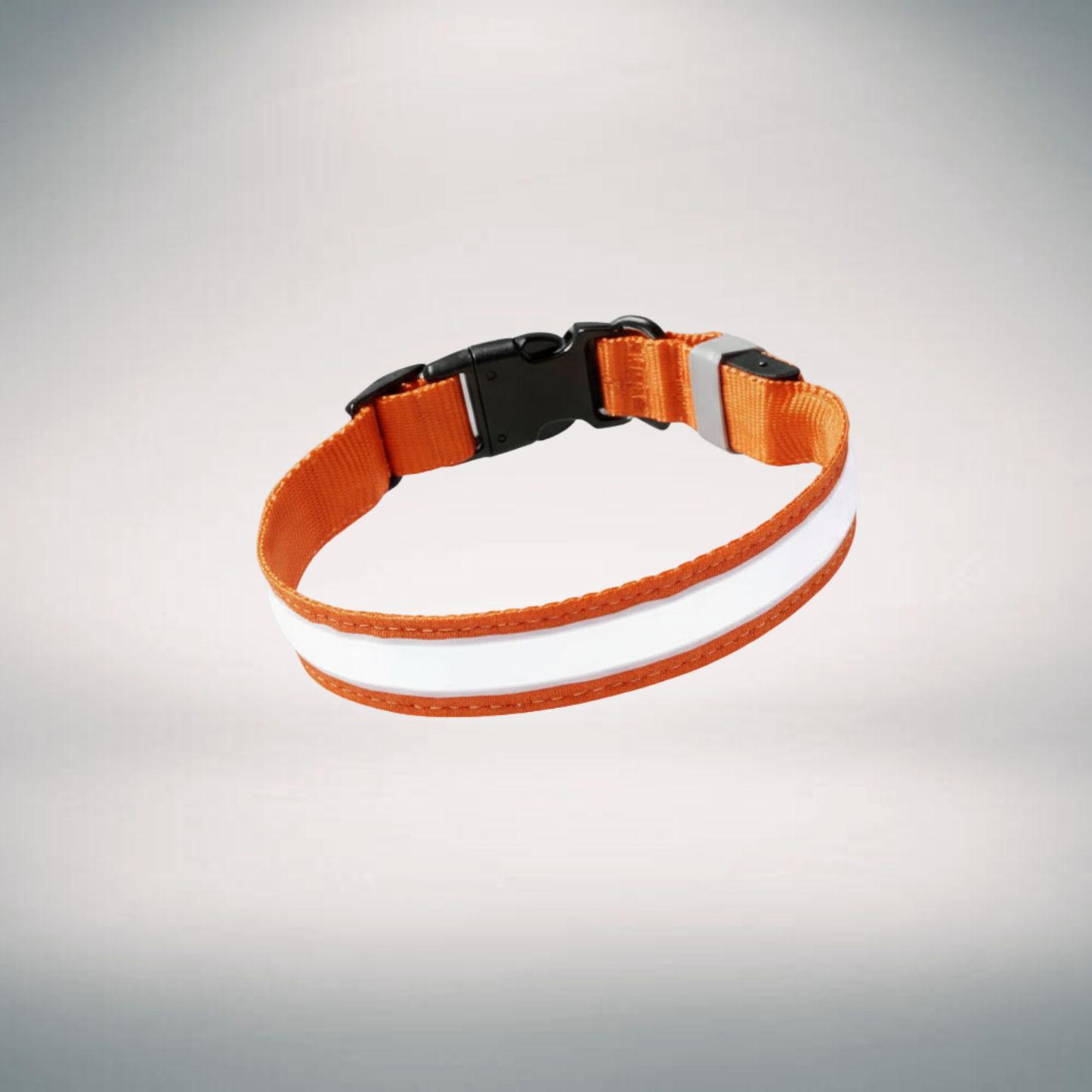 Rechargeable LED Collar