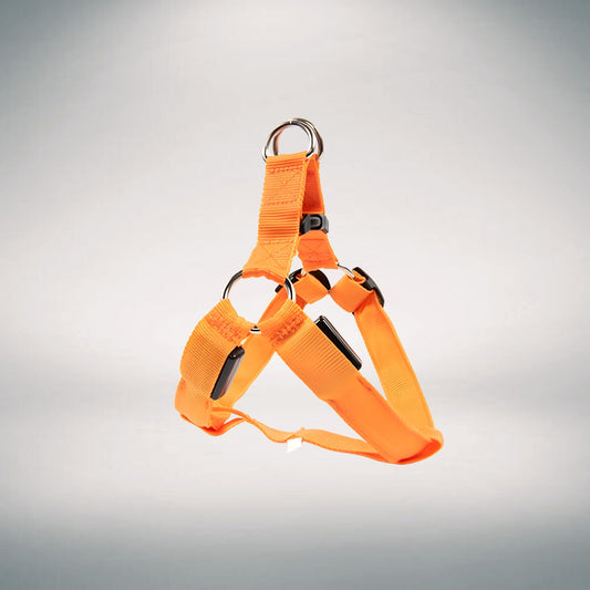 Rechargeable LED Harness