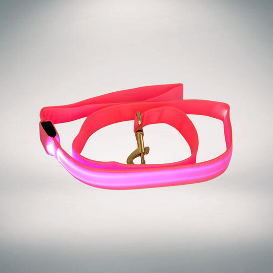 Rechargeable LED Leash