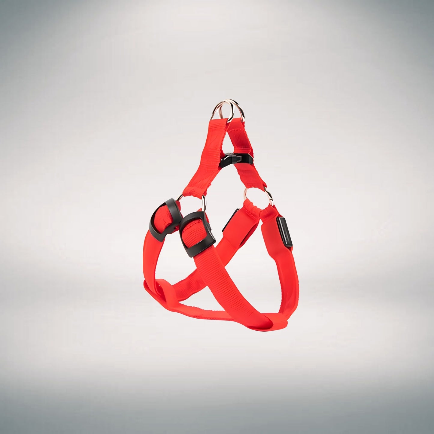 Rechargeable LED Harness